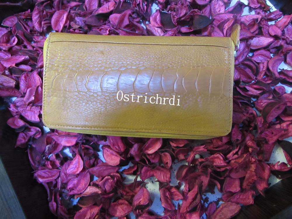 ostirchL.Wallet